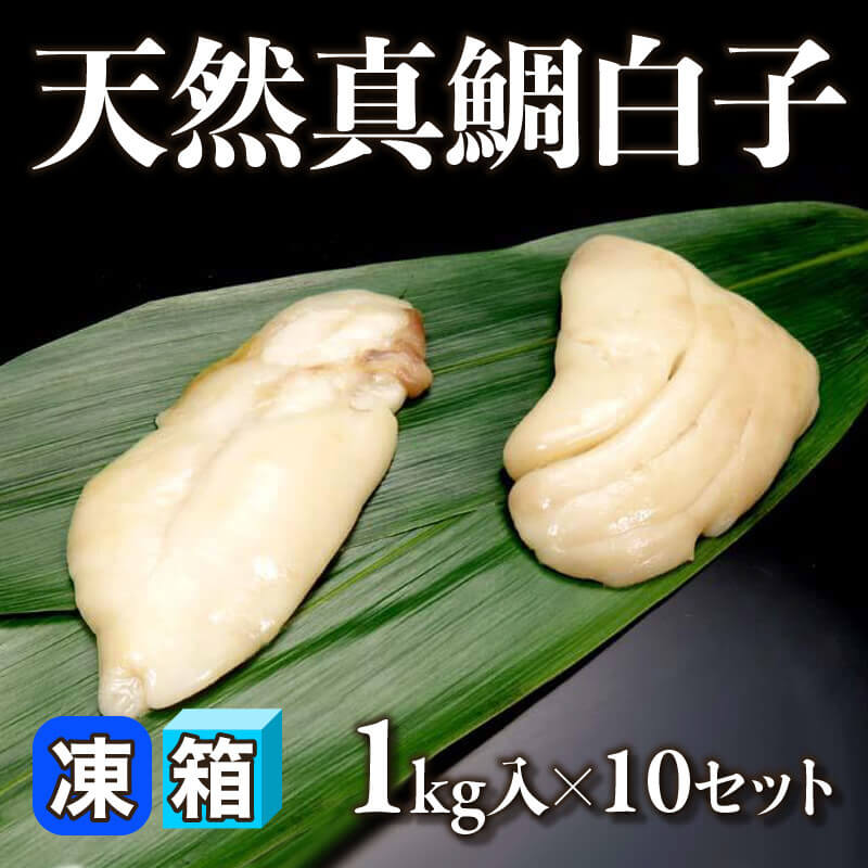 ［箱売］天然真鯛白子（1kg入×10セット）〈冷凍〉