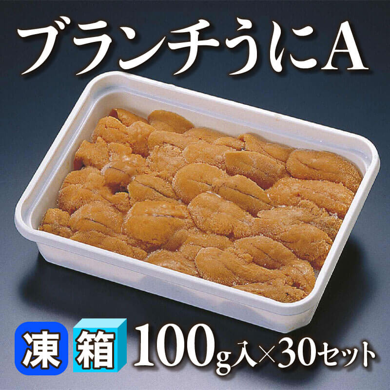 ［箱売］ブランチうにA（100g入×30セット）〈冷凍〉