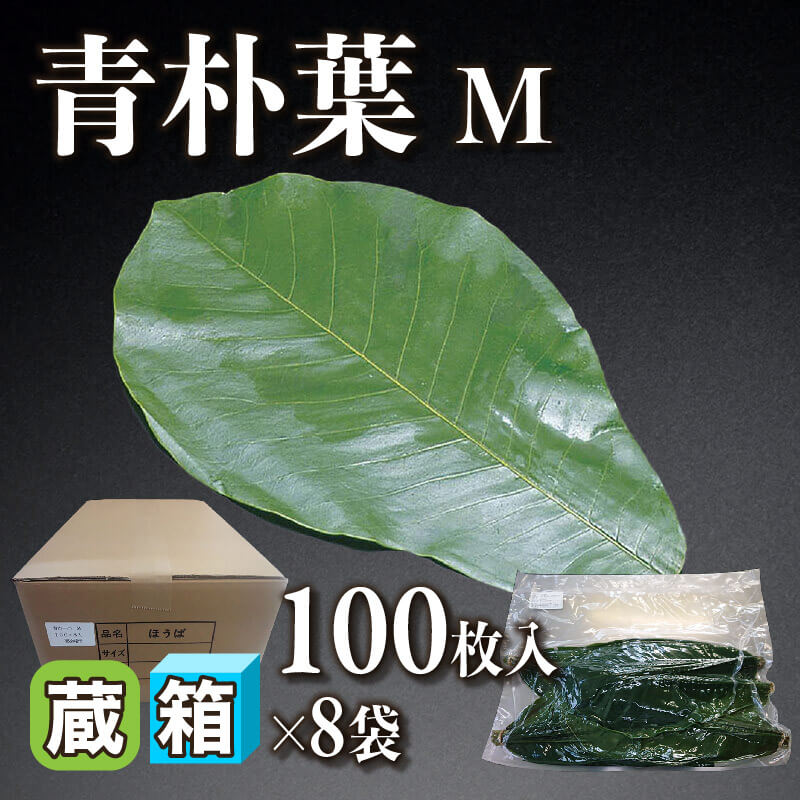 ［箱売］飛騨産 青朴葉Ｍ 800枚（100枚入×8袋）〈冷蔵〉