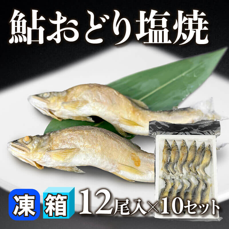 ［箱売］国産 鮎おどり塩焼 120尾（12尾入×10セット）〈冷凍〉