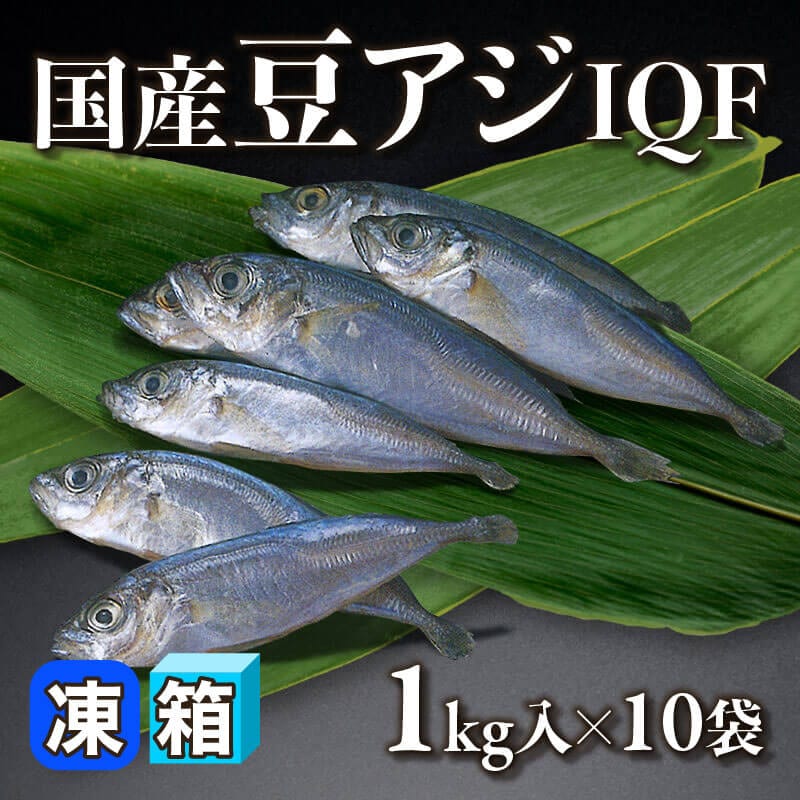 豆あじ工房 国産豆アジ IQF 1kg入×10袋｜飲食業務用仕入れ注文専門 フーディーズ