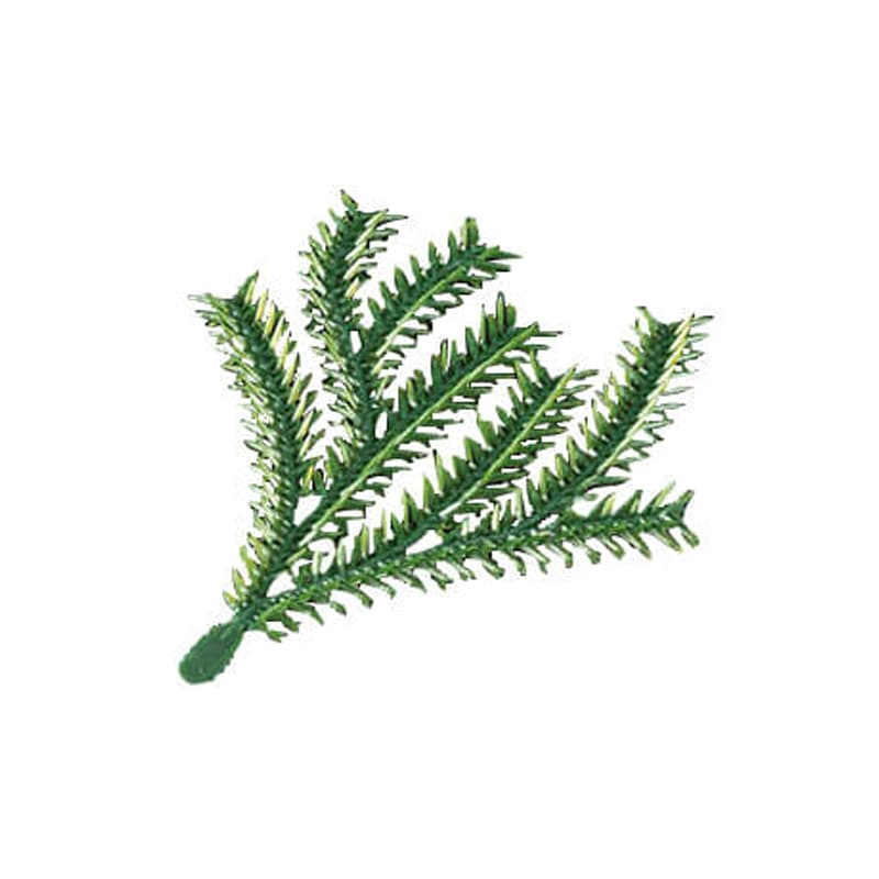 ［ヤマコー 用美］たちかずら飾り［200個入］