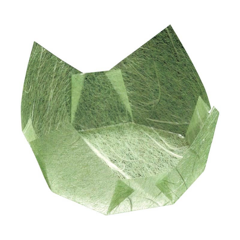 ［ヤマコー 用美］両面OP珍味入 若草雲竜 ［200枚入］