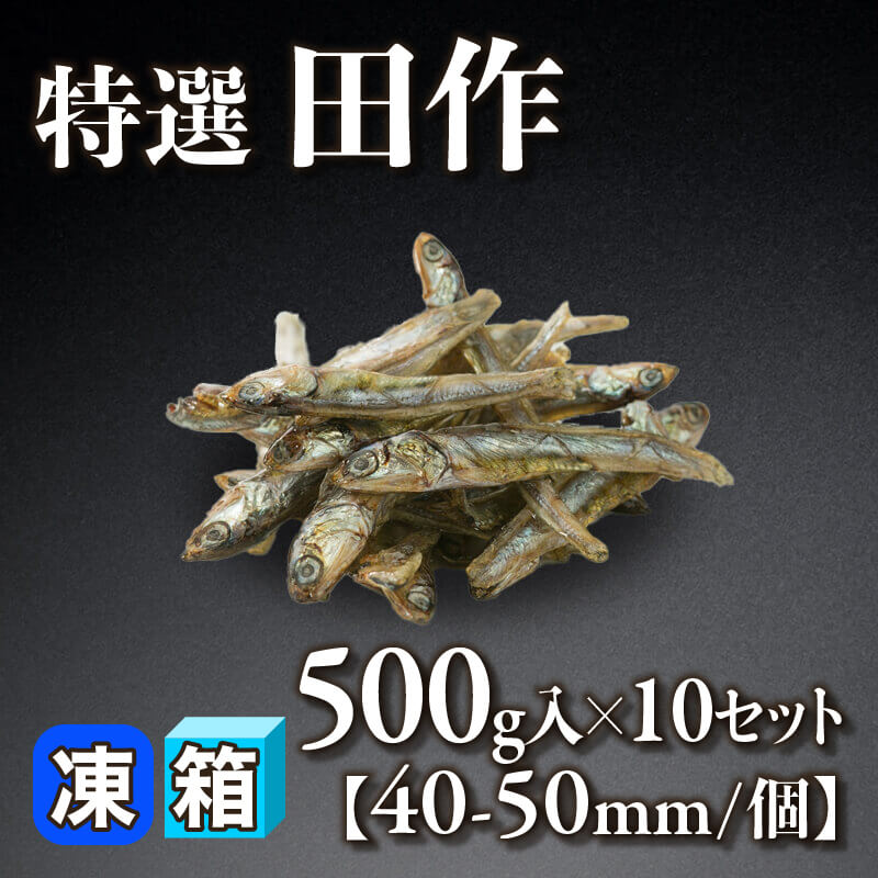 ［箱売］国産 特選田作 5kg（500g入×10セット）〈冷凍〉