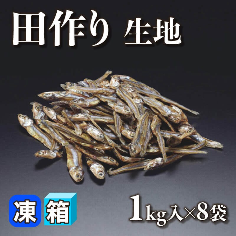 ［箱売］国産 田作り -生地- 8kg（1kg入×8袋）〈冷凍〉