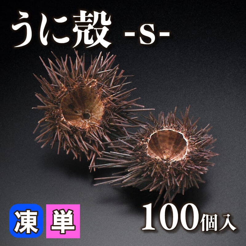 ［小売］うに殻［S］（100個入）〈冷凍〉