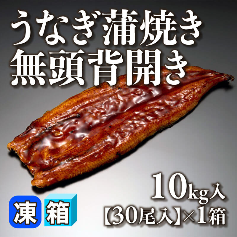 ［箱売］うなぎ蒲焼き 無頭背開き（10kg/30尾入×1箱）〈冷凍〉