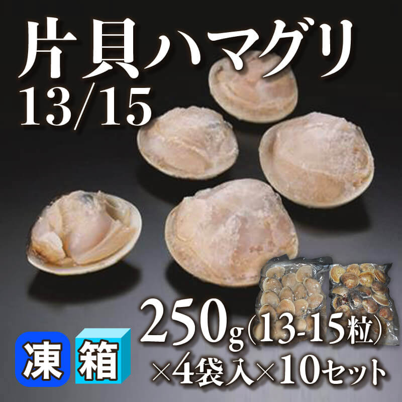 ［箱売］片貝ハマグリ13/15 520-600粒（250g・13-15粒×4袋入×10セット）〈冷凍〉