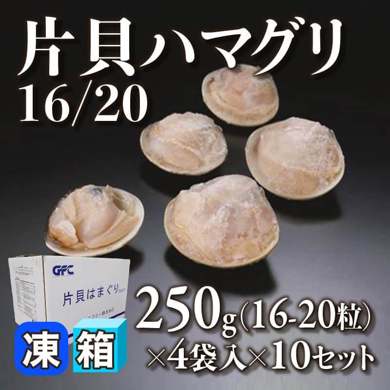 ［箱売］片貝ハマグリ16/20 640-800粒（250g・16-20粒×4袋入×10セット）〈冷凍〉