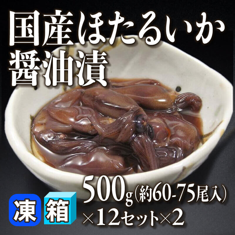 ［箱売］国産 ほたるいか醤油漬 24BL（500g・約60-75尾入×12セット×2）〈冷凍〉