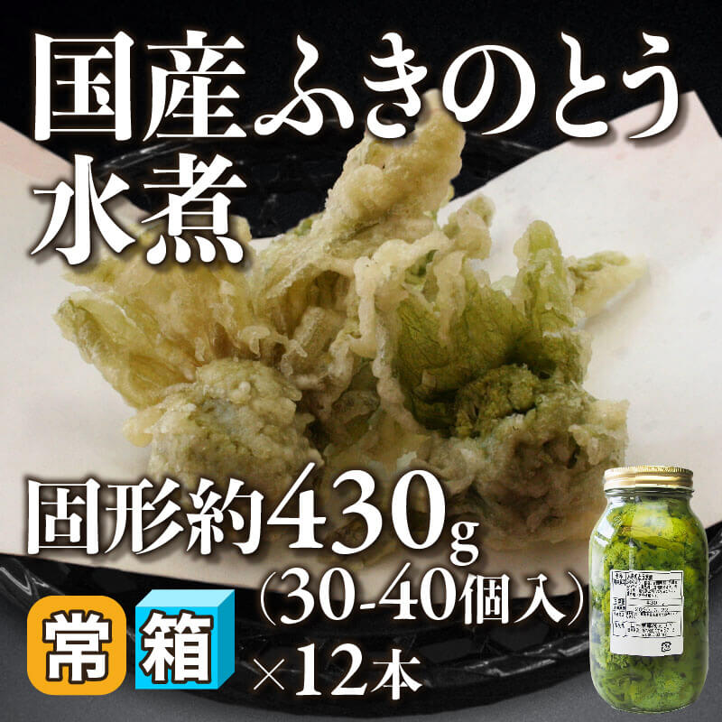 ［箱売］国産 ふきのとう水煮 360-480個（固形約430g・30-40個入×12本）〈常温〉