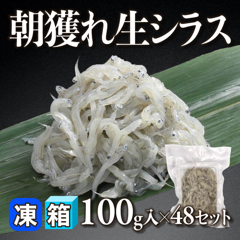 ［箱売］朝獲れ生しらす 4.8kg（100g入×48セット）〈冷凍〉