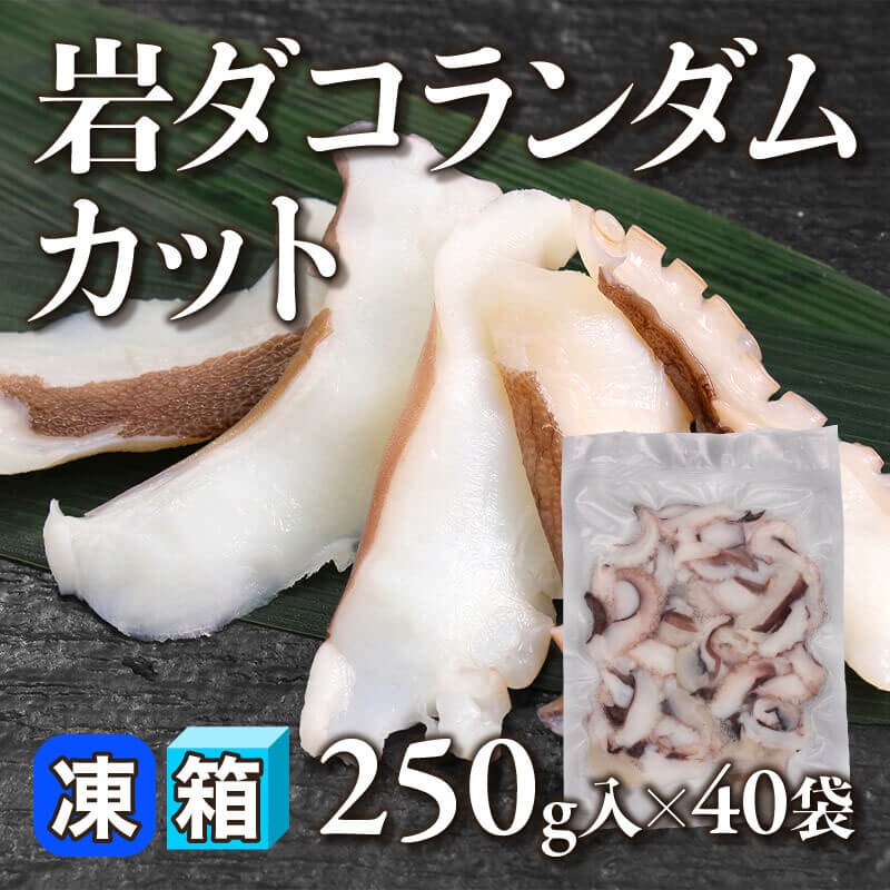 ［箱売］岩ダコランダムカット 10kg（250g入×40袋）〈冷凍〉