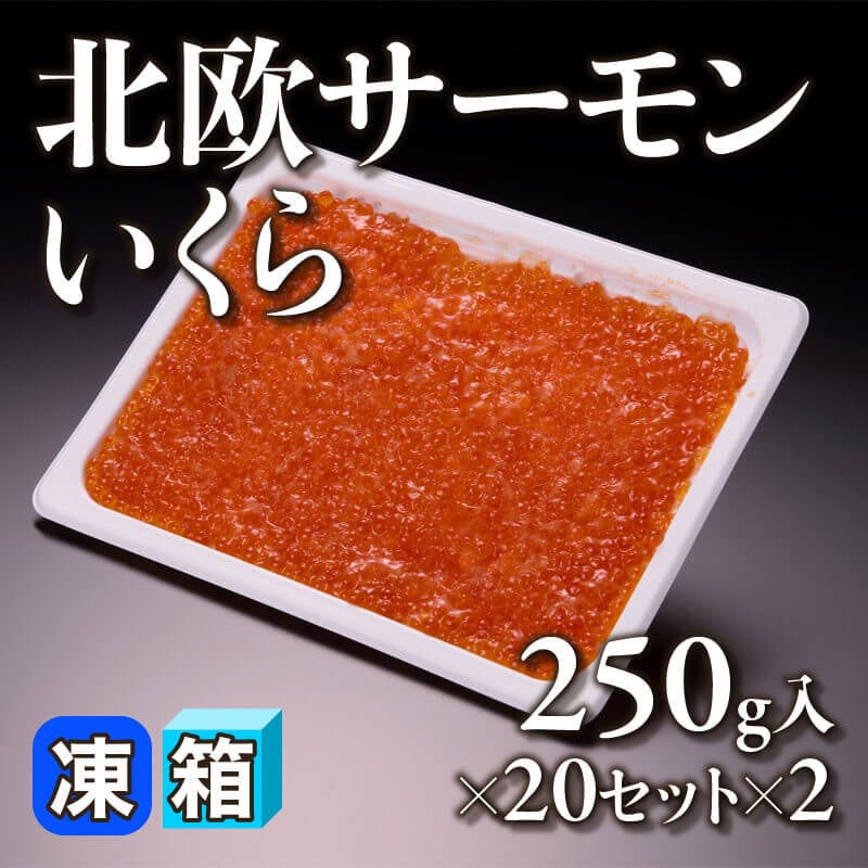 ［箱売］北欧サーモンいくら 10kg（250g入×20セット×2）〈冷凍〉
