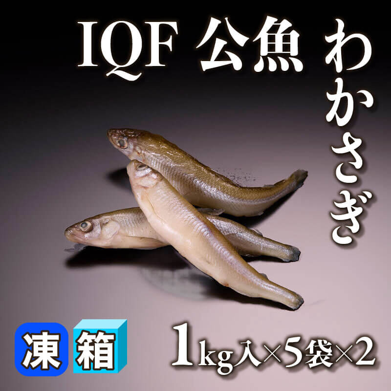 公魚（わかさぎ）IQF 1kg入×5袋×2｜飲食業務用仕入れ注文専門 フーディーズマルシェで卸食材も備品も簡単注文