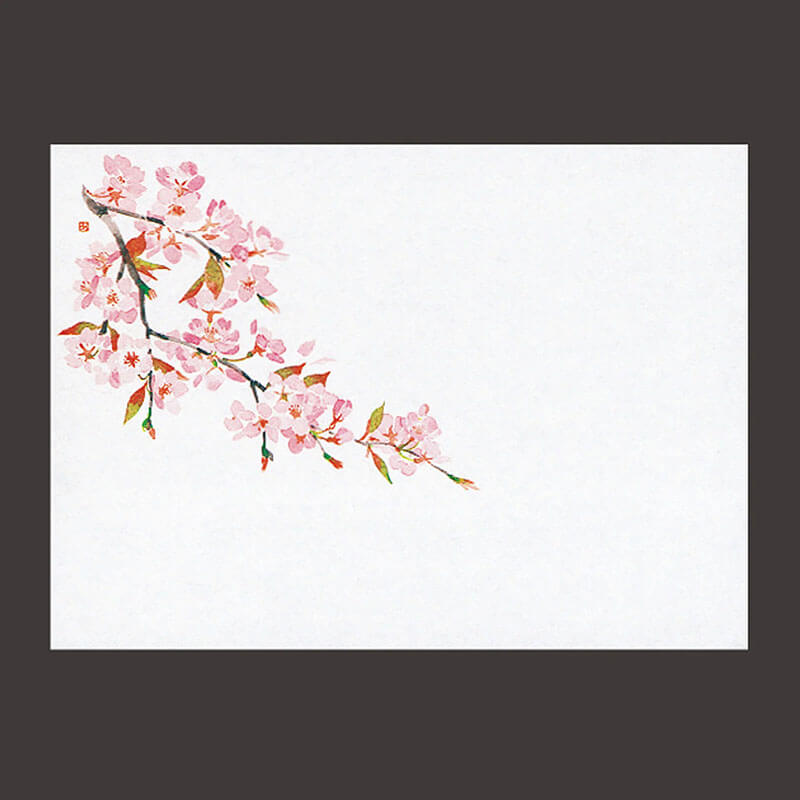 遠赤保鮮紙桜 ［100枚入］