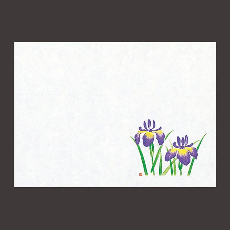 遠赤保鮮紙菖蒲 ［100枚入］