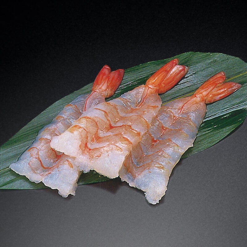 白虎えび寿司ネタ 51/60 20枚入×40セット｜飲食業務用仕入れ注文専門