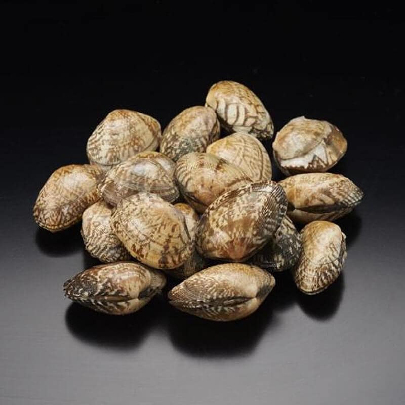 殻付あさりIQF L 1kg・約80-120粒入×10袋｜飲食業務用仕入れ注文専門