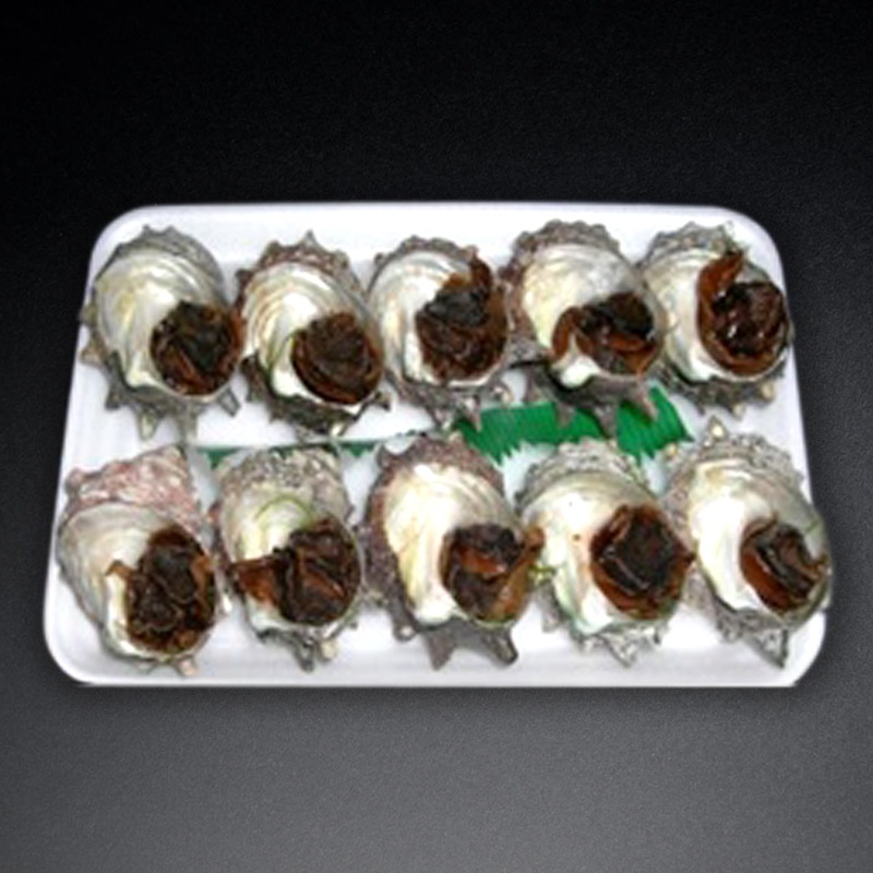 アカニシ貝煮 10個入×16セット｜飲食業務用仕入れ注文専門 フーディー