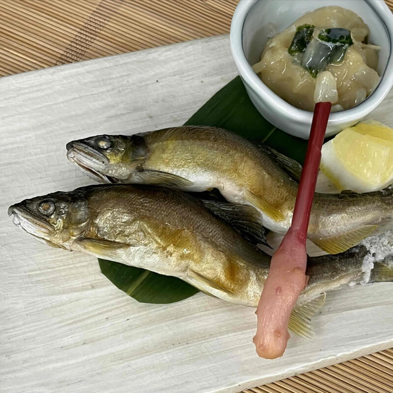 愛知県産天然鮎　中12尾冷凍② 国産 鮎おどり塩焼 12尾入×10セット｜飲食業務用仕入れ注文専門