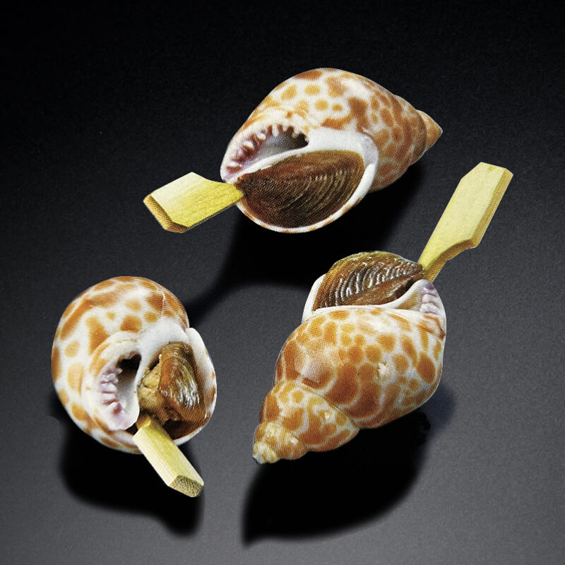 味付ばい貝 串付 30個｜飲食業務用仕入れ注文専門 フーディーズ