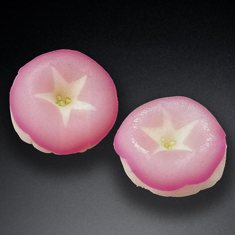 あさがおページ の「アサガオ（朝顔）｜造花(アーティフィシャルフラワー)」通販