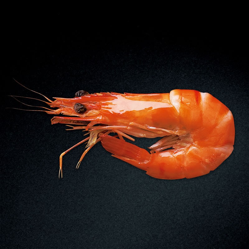 焼き海老 BT60 25尾｜飲食業務用仕入れ注文専門 フーディーズマルシェ