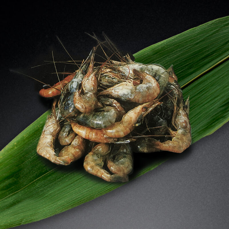 えび 川えび 小 500g・約350-400尾入×20セット｜飲食業務用仕入れ注文専門