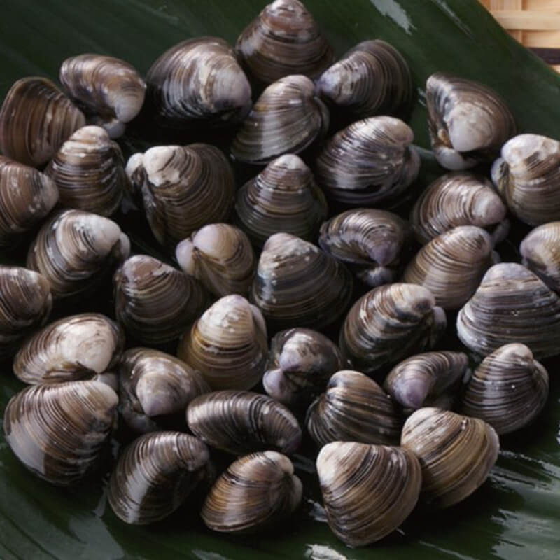 殻付しじみ 生冷 1kg・約300-500粒入×6袋×2｜飲食業務用仕入れ注文専門