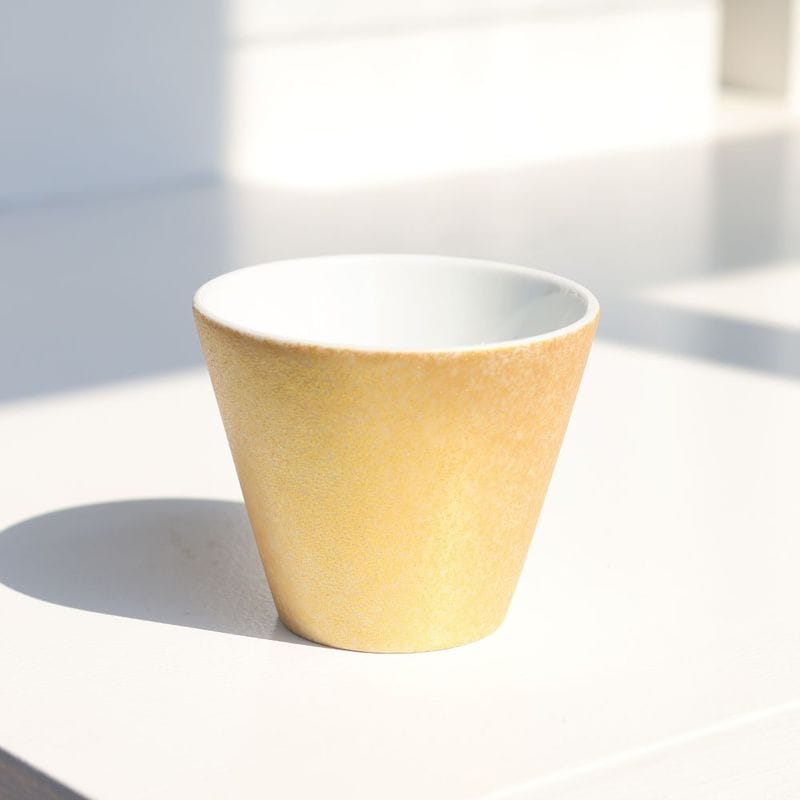 Ｖカップ　いろどりゴールド