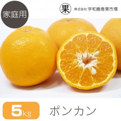 �ڲ����ѡ� �ݥ󥫥� 5�� | ��ɲ�������绺