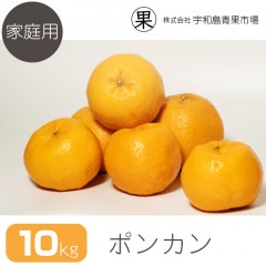 �ڲ����ѡ� �ݥ󥫥� 10�� | ��ɲ�������绺