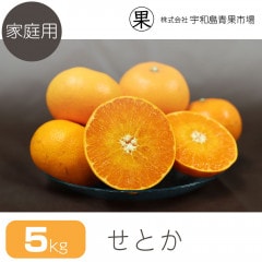 �ڲ����ѡ� ���Ȥ� 5�� | ��ɲ�������绺