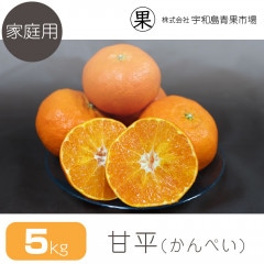 �ڲ����ѡ� ��ʿ 5�� | ��ɲ�������绺