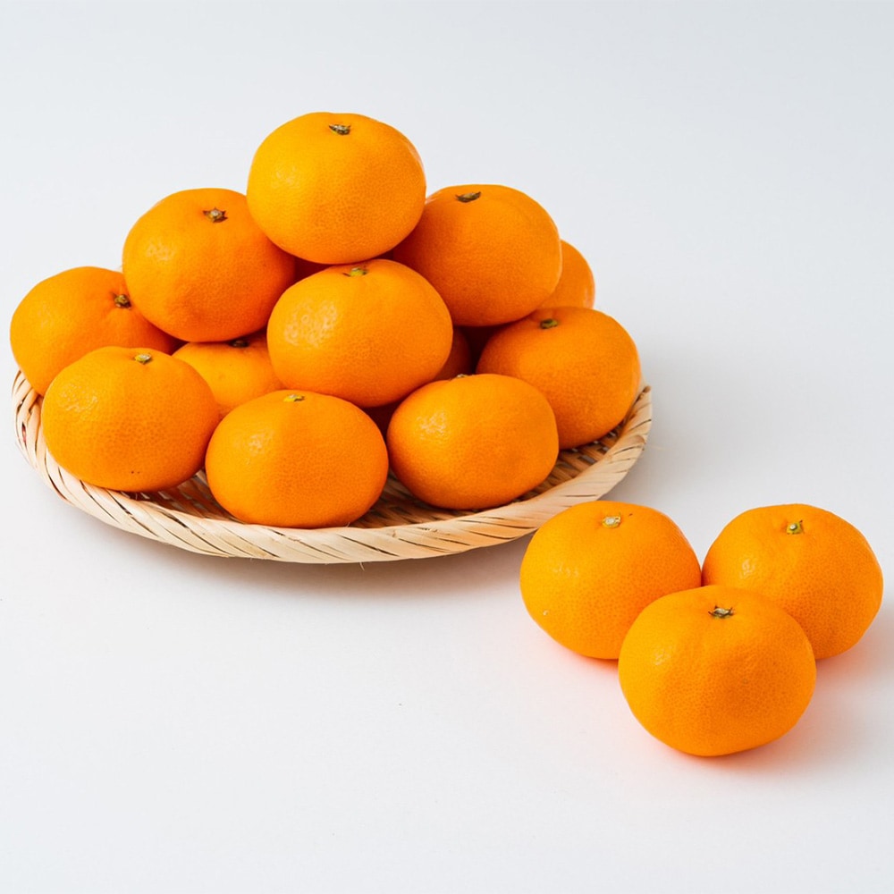 �ڲ����ѡ� ��ɲ�ߤ��� 5kg | ��ɲ�������绺