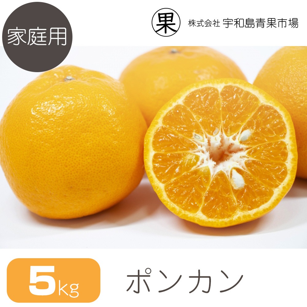 �ڲ����ѡ� �ݥ󥫥� 5�� | ��ɲ�������绺