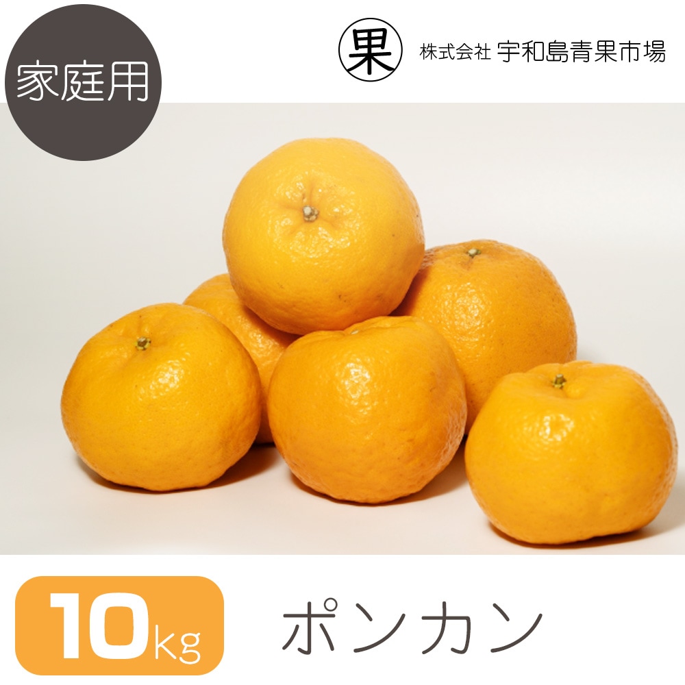 �ڲ����ѡ� �ݥ󥫥� 10�� | ��ɲ�������绺