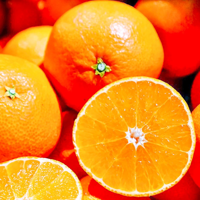 �ڲ����ѡ� ɲ�ޥɥ�ʡʰ�ɲ�̻���28��� 5�� | ��ɲ�������绺