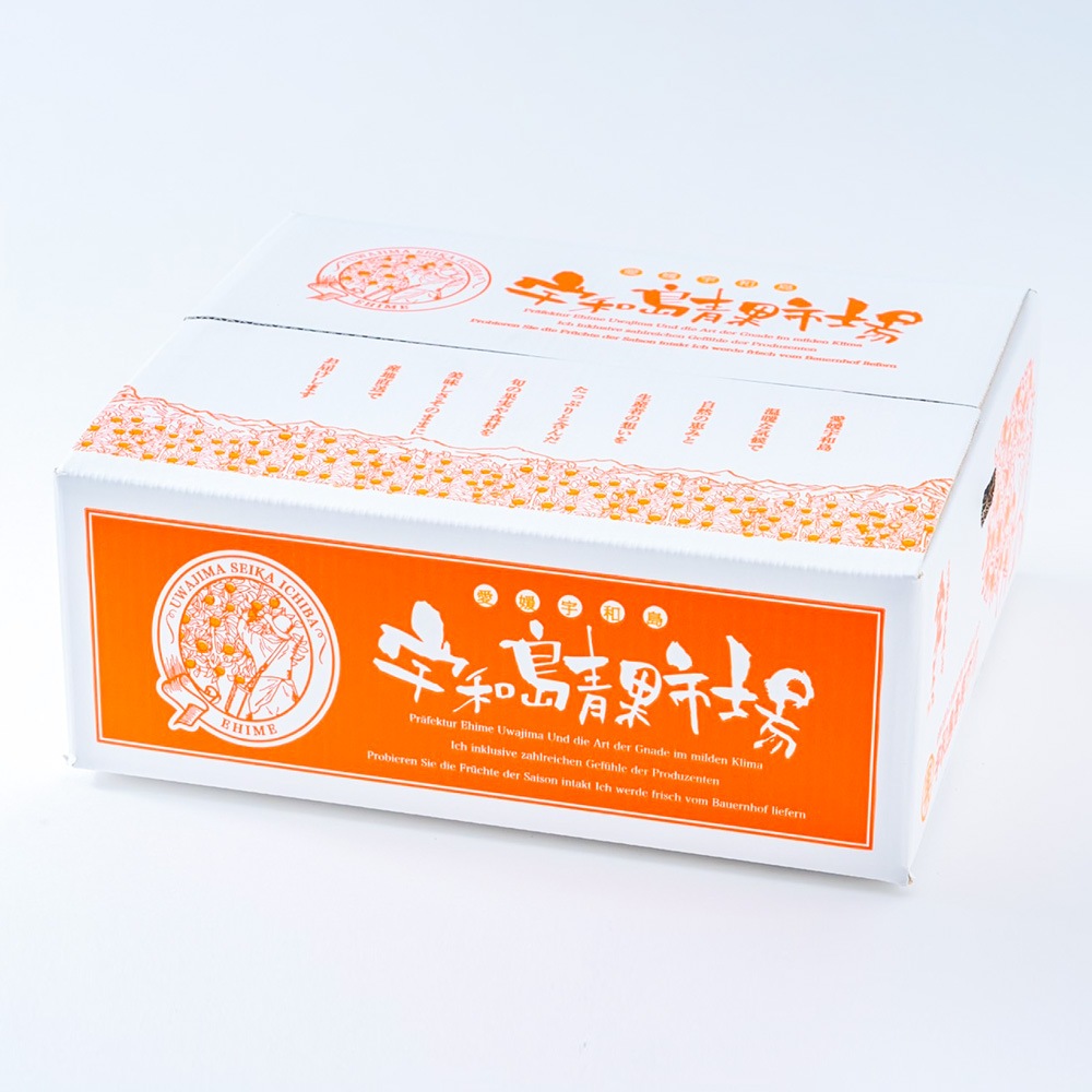 �ڲ����ѡ� ɲ�ޥɥ�ʡʰ�ɲ�̻���28��� 5�� | ��ɲ�������绺