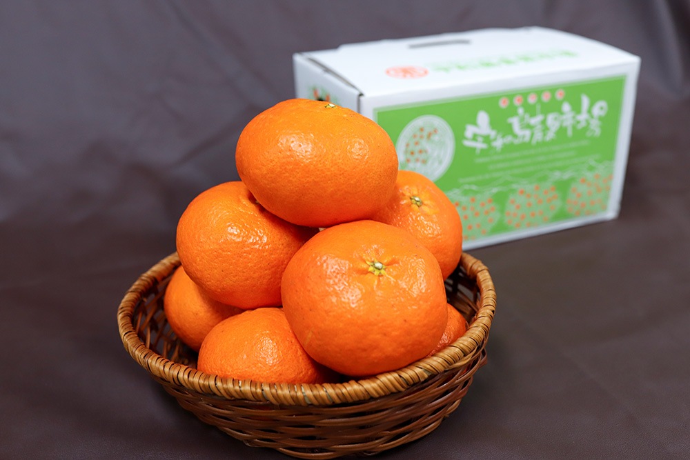 �ڲ����ѡ� ��ʿ 5�� | ��ɲ�������绺