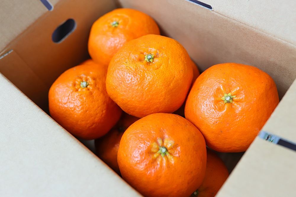 �ڲ����ѡ� ��ʿ 5�� | ��ɲ�������绺