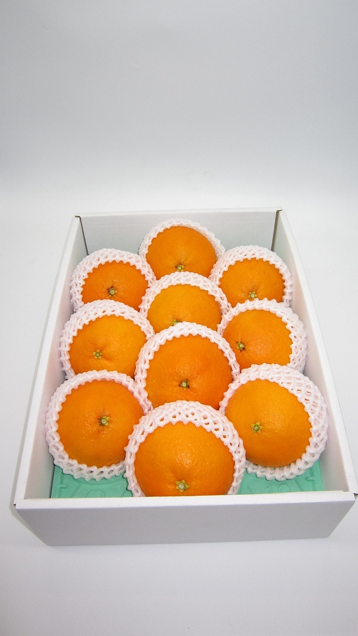 ��100�����������ʡ� �Ȥޤɤ�� ���� ������ɲ����