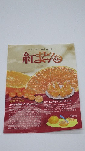 ��100�����������ʡ� �Ȥޤɤ�� ���� ������ɲ����