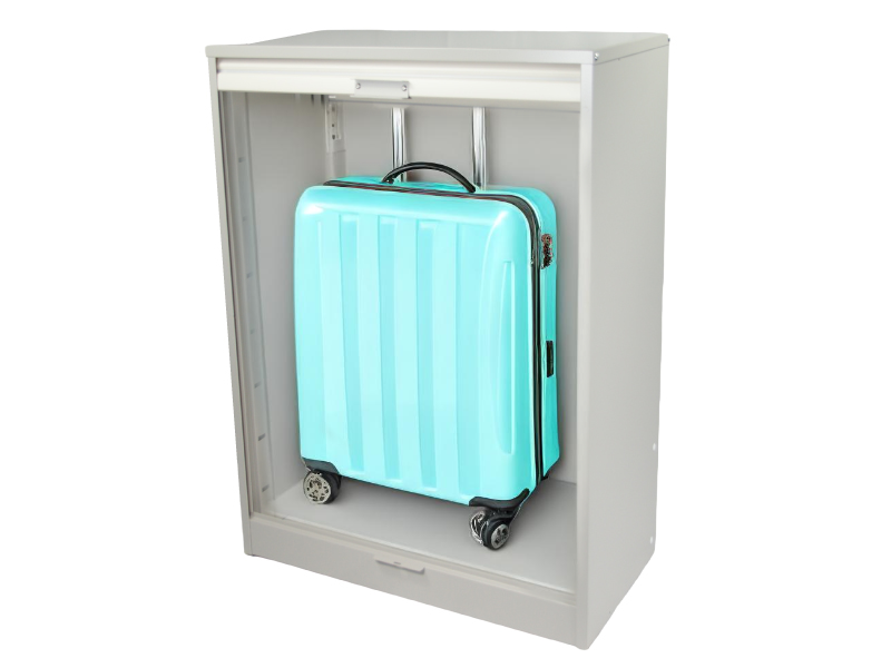 ���ۥ��졼�� 21H