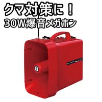 ̵30W 緿ᥬۥ դ к к ȥ֥ ȥ顼 ۵