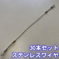 ������ʡۥ��ƥ�쥹�磻�䡼 ���ƥ�쥹�磻������� 20cm SW1 30�ܥ��åȡ��Ͽ� ž���ɻ� ��ɻ� ��� ���� ����ʤɤˤɤ��� ������� �磻�䡼 �������� ���ޥ�