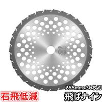 ̵ۥХ޹ 𴢵 åץ ؿϡ㸺 Хʥ 30 255mm