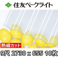 ��ͧ�١����饤�� Ǯ�����åȥݥꥫ ���� 9�� 2730x655mm �ݥꥫ���ܥ͡��� 10�祻�å�