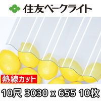 ��ͧ�١����饤�� Ǯ�����åȥݥꥫ ���� 10�� 3030x655mm �ݥꥫ���ܥ͡��� 10�祻�å�